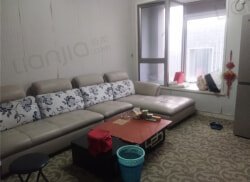 紫金最新租房信息揭秘，热门房源一览🔥🏠