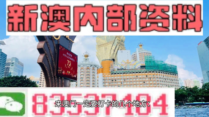 新澳门大三巴3888,现况评判解释说法_TQQ85.902旅行者版