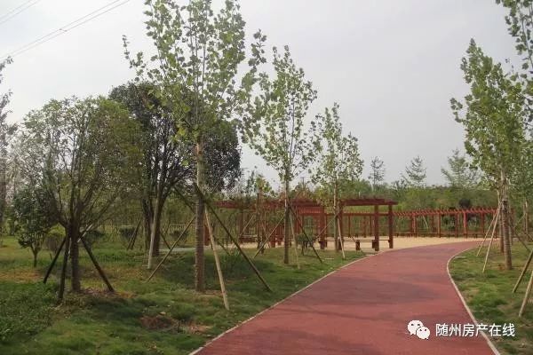 随州桃园公园最新动态揭秘，惊喜连连，不容错过！