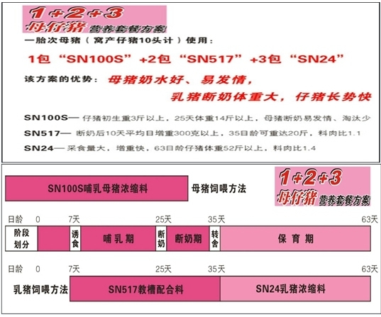 新澳天天免费精准资料大全,稳固计划实施_BRY85.916为你版