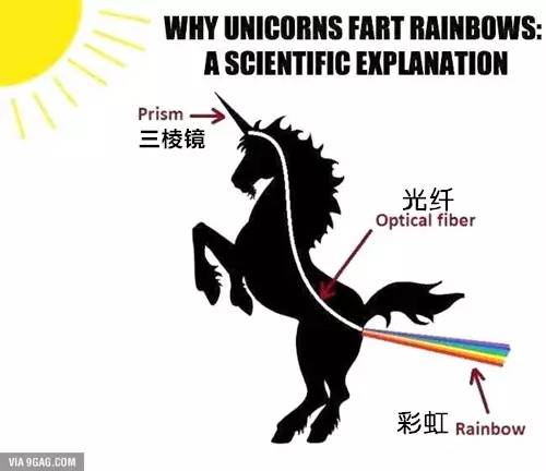 六+彩资料免费大全,科学分析解释说明_AFK47.540动感版