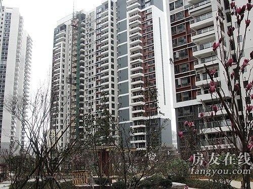 绿地长岛公寓最新价格揭秘，小巷深处的隐藏宝藏