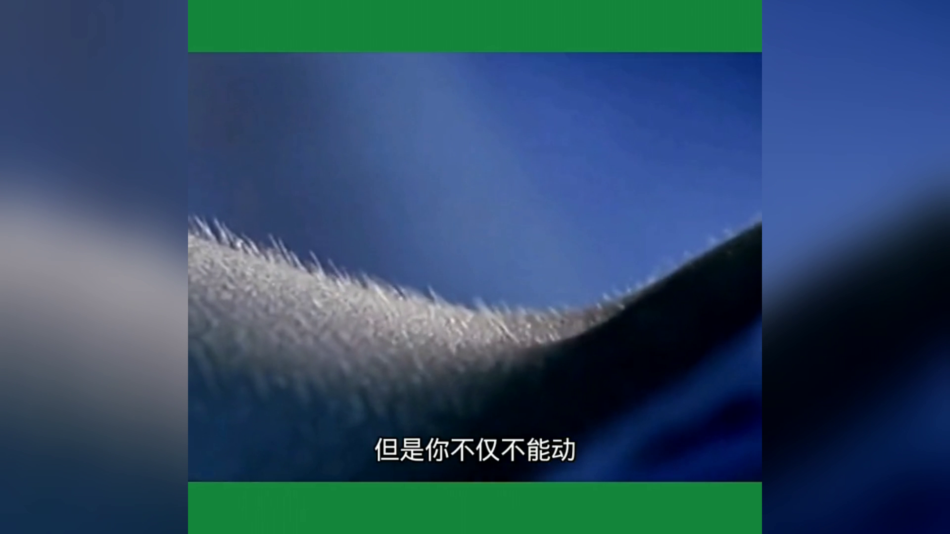 新澳门最精准正最精准,科学分析解释说明_桌面款98.781