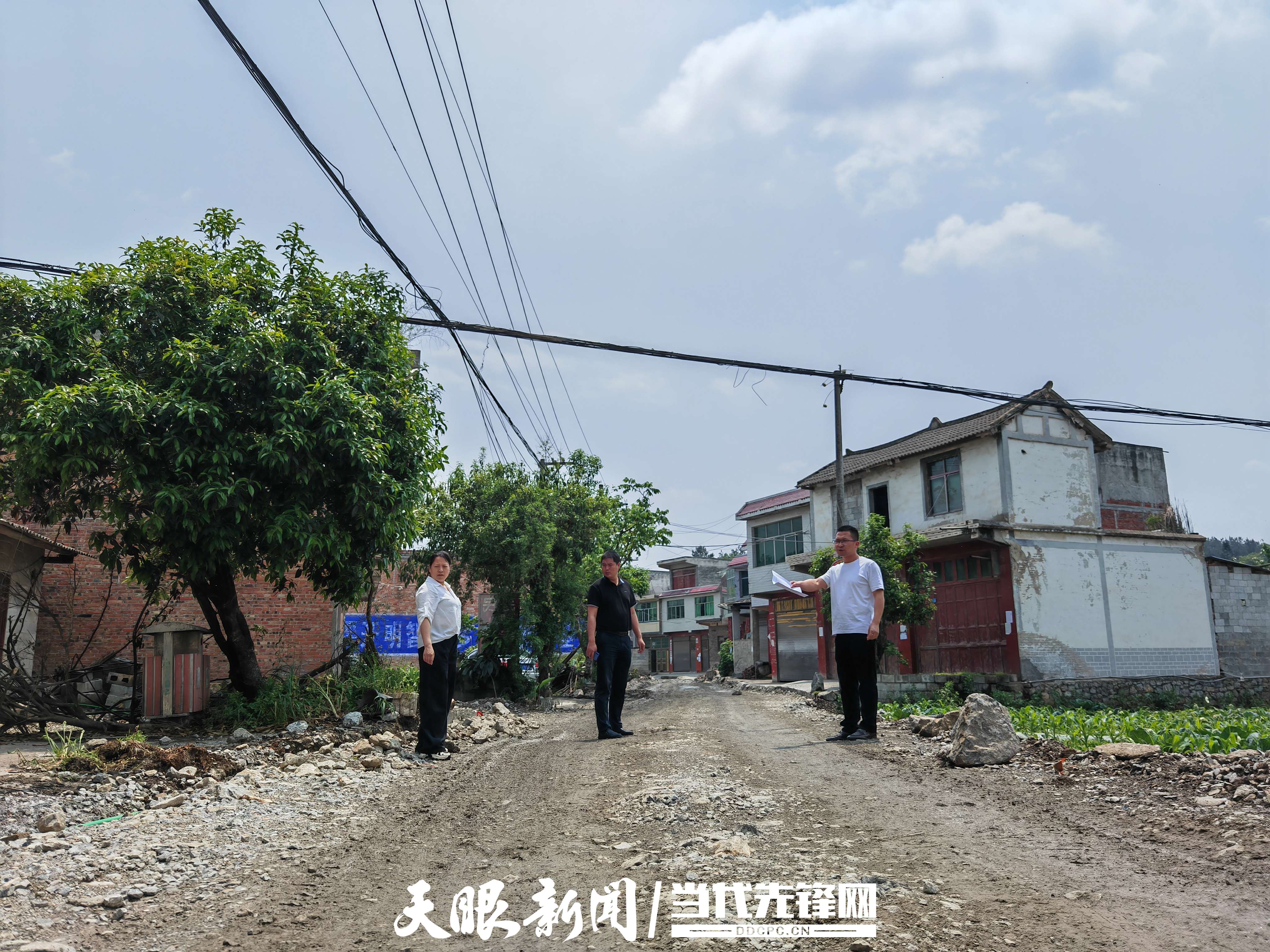 LED光源 第229页