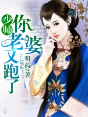 顾轻舟司行霈最新章节深度解析与观点阐述
