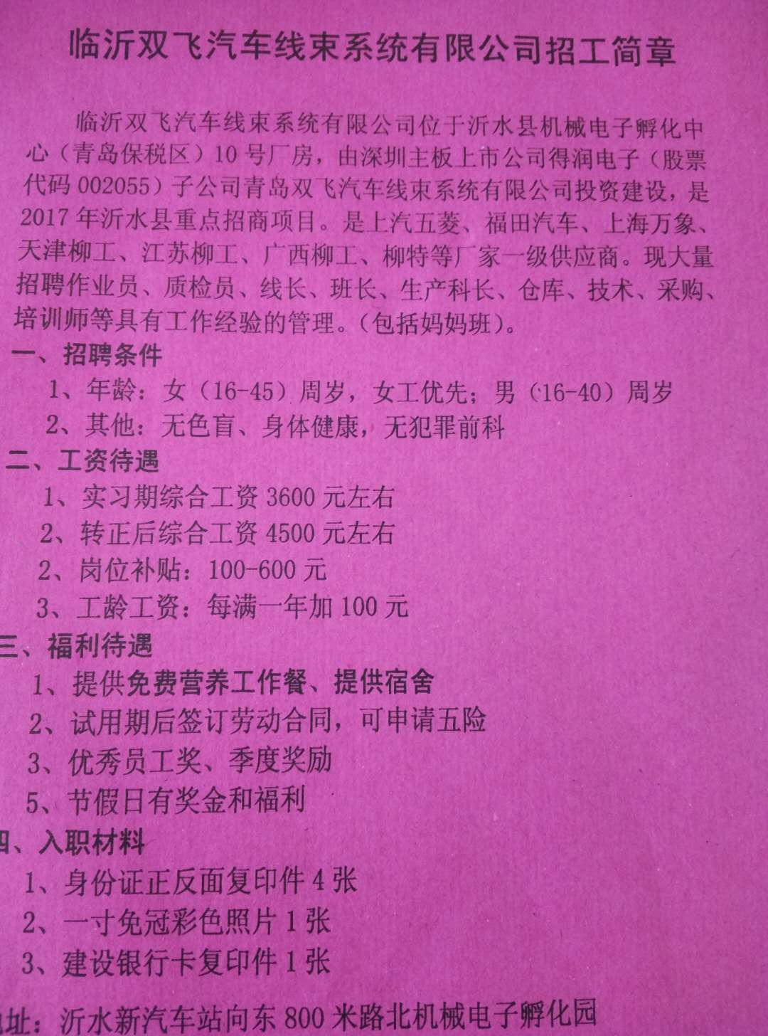 莱芜金点子招聘启航，探索自然美景，寻找内心宁静之旅