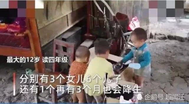 广西最新预情，自然美景探索之旅，唤醒内心平静之旅