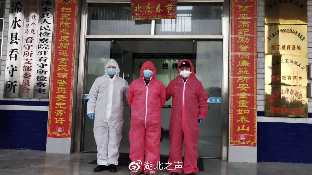 浠水最新疫情,浠水最新疫情下的自然探索之旅，寻找内心的宁静与平和