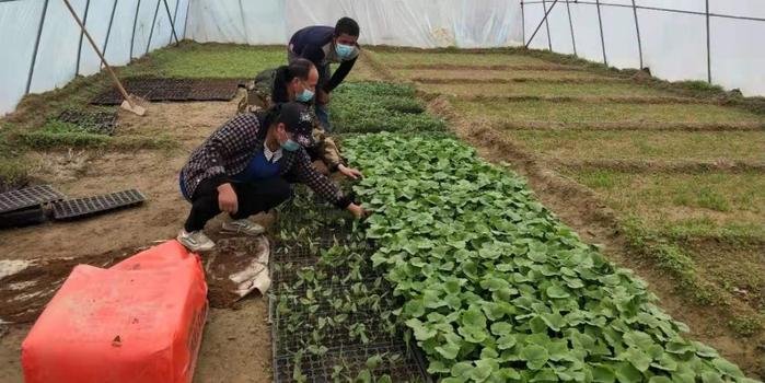 策勒最新招聘启航人才新篇章，学习变化，拥抱自信与成就，启程人生新征程！
