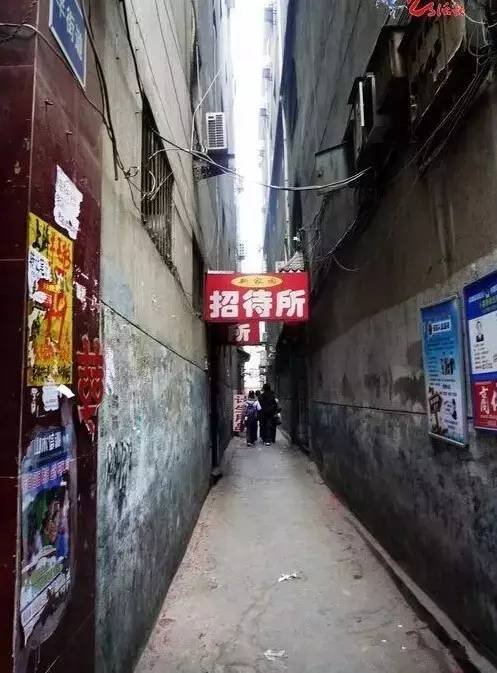 苏州之旅探秘，寻找内心的宁静与自然的微笑——揭秘苏州的夜生活现象