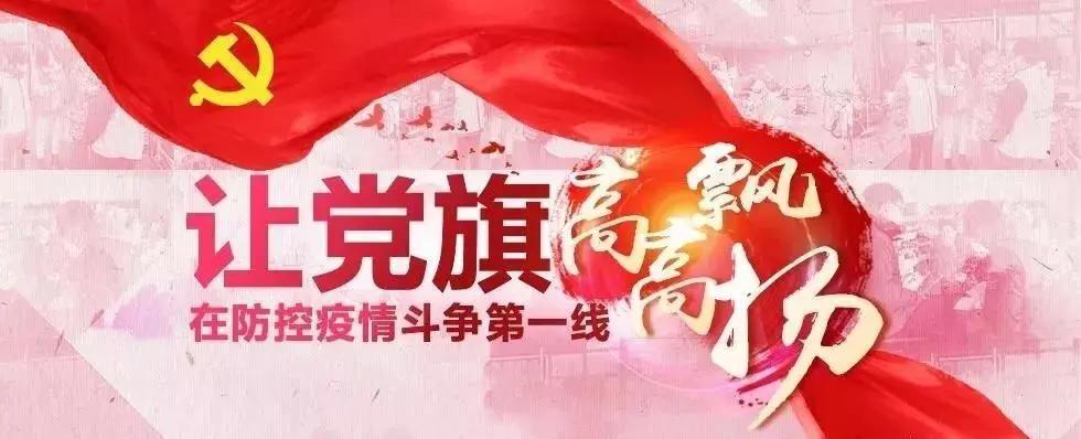 全球抗击新冠疫情最新进展与案例分析，最新疫情快讯综述