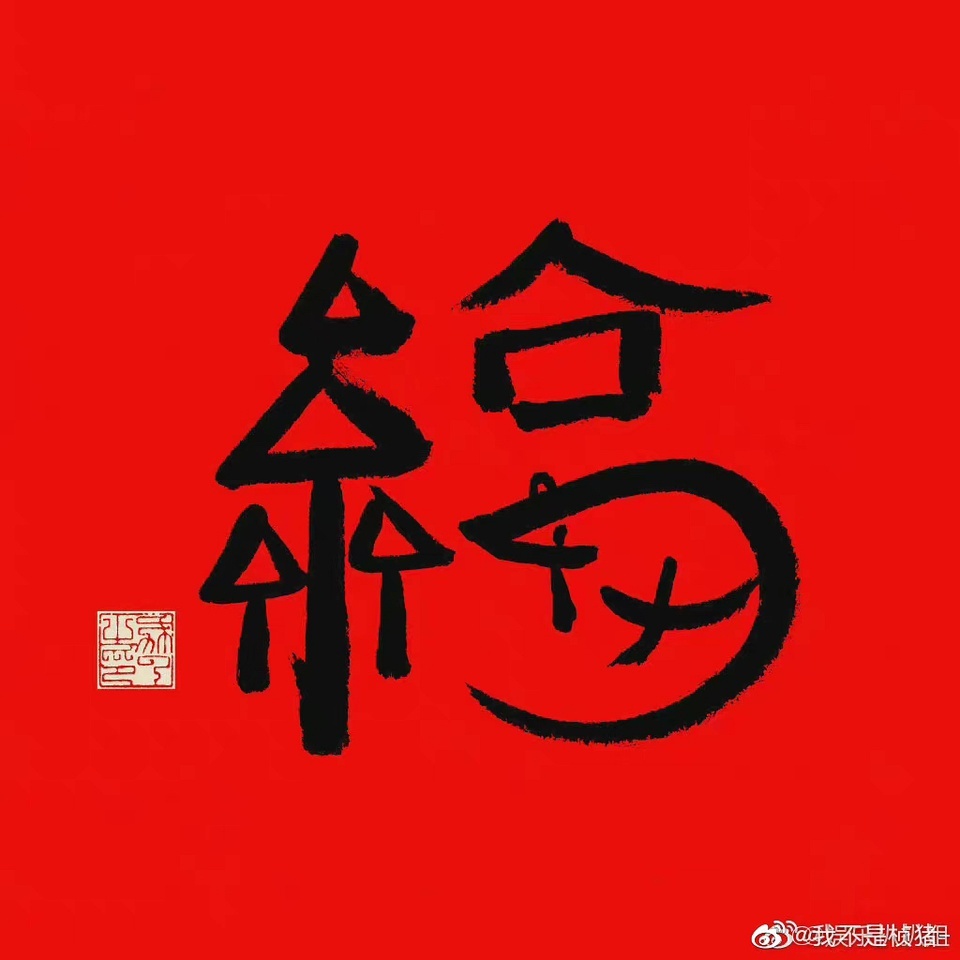 时代之光下的璀璨明珠，今日最新福