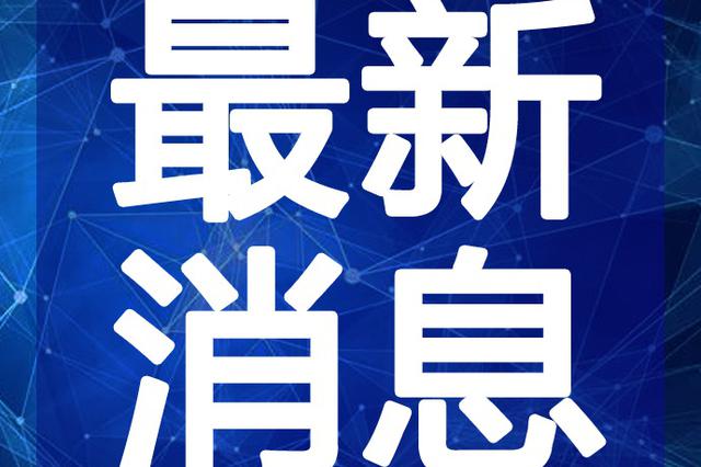 最新半仙视频深度解析与观点阐述，揭秘内容魅力与独特之处