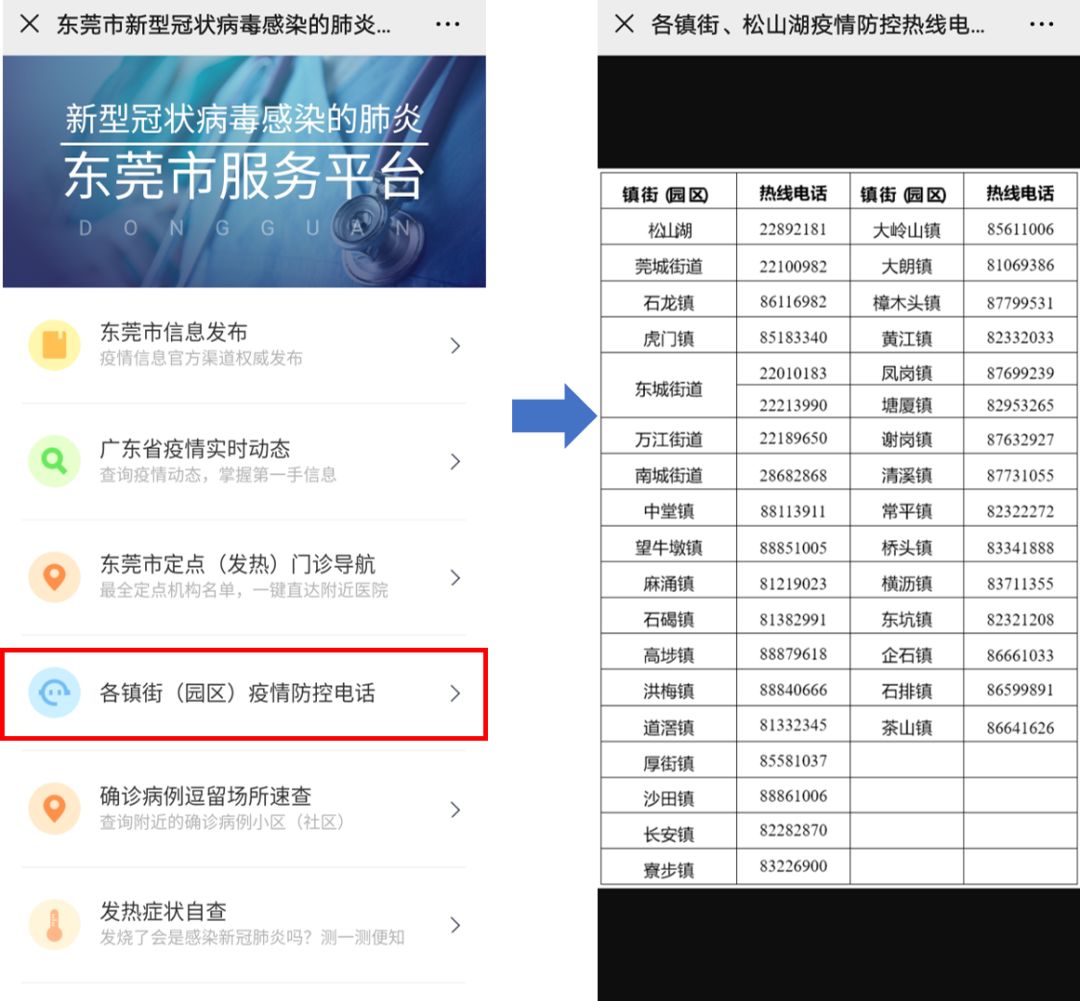 东莞最新疫情状况，逆风翱翔，用知识守护梦想健康