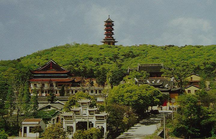 爱情谷最新房价揭秘，巷弄深处的独特风情与诱人房价