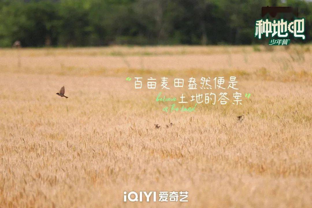 种地吧最新语录，探索未来农业的高科技魅力