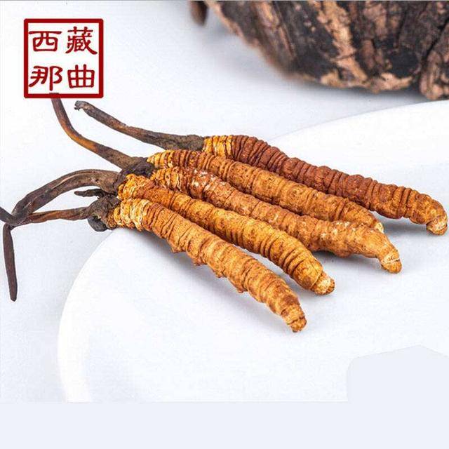 揭秘2025年虫草最新价格，探寻小巷中的秘密行情！