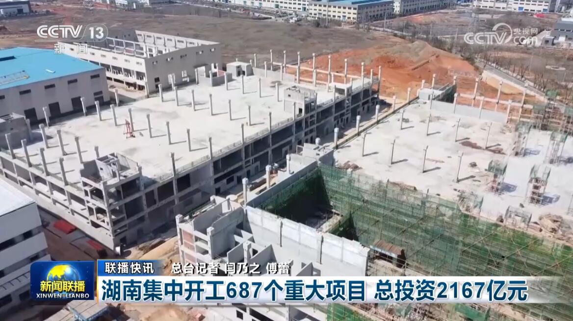 2024王中王资料大全公开,定量解析解释法_BMZ50.687供给版