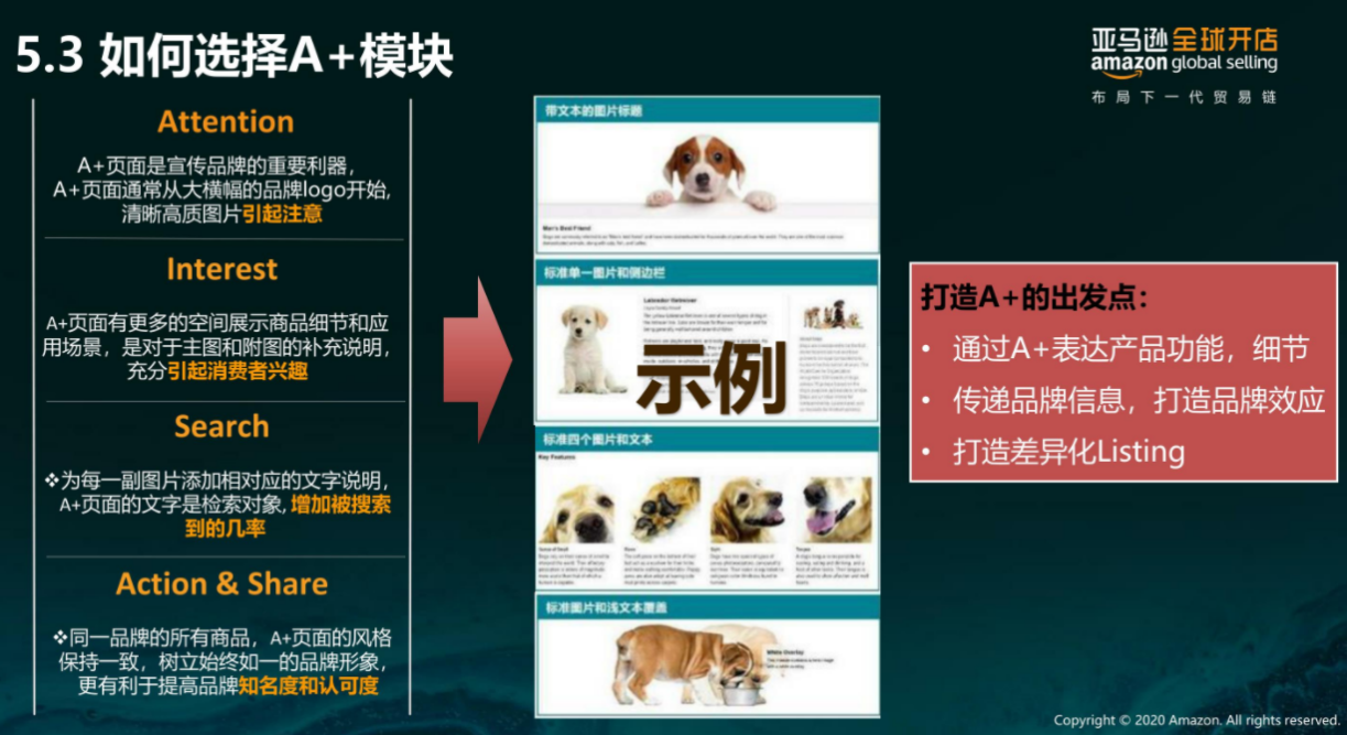 澳门管家婆四肖选一肖,策略优化计划_AHN50.797模块版