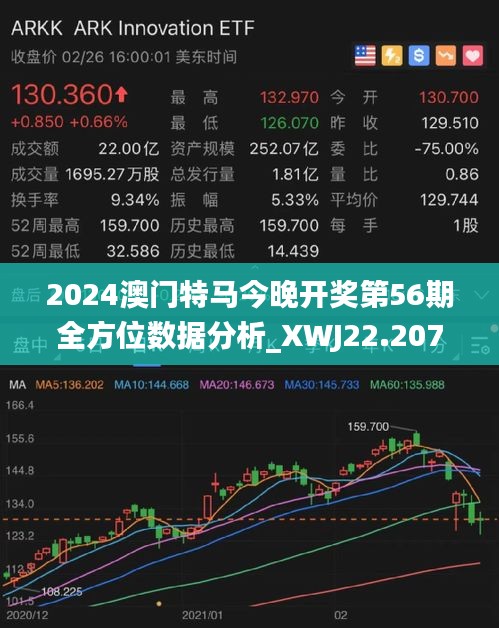 澳门特马料网站精准,现代化解析定义_WDS50.201社区版