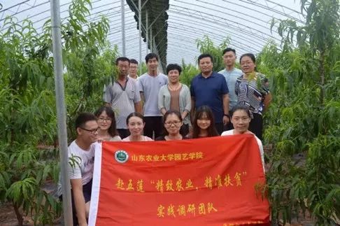 香港资料内部资料精准,实践调查说明_TYN50.750艺术版