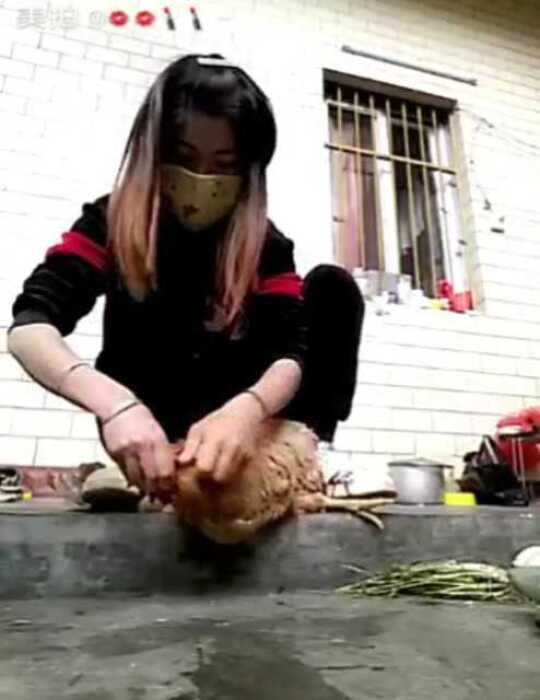 关于阿梅杀鸡视频的理性分析与网络伦理道德探讨,警惕涉黄内容侵蚀社会伦理底线。