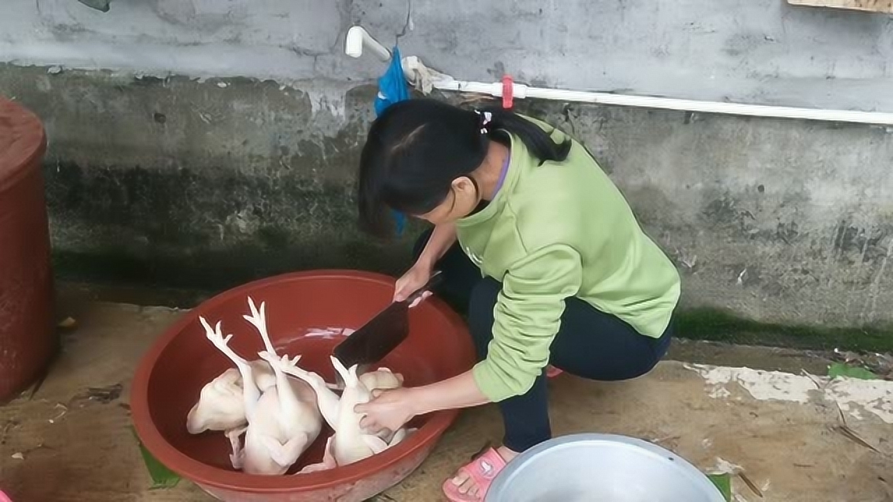 关于阿梅杀鸡视频的理性分析与网络伦理道德探讨,警惕涉黄内容侵蚀社会伦理底线。