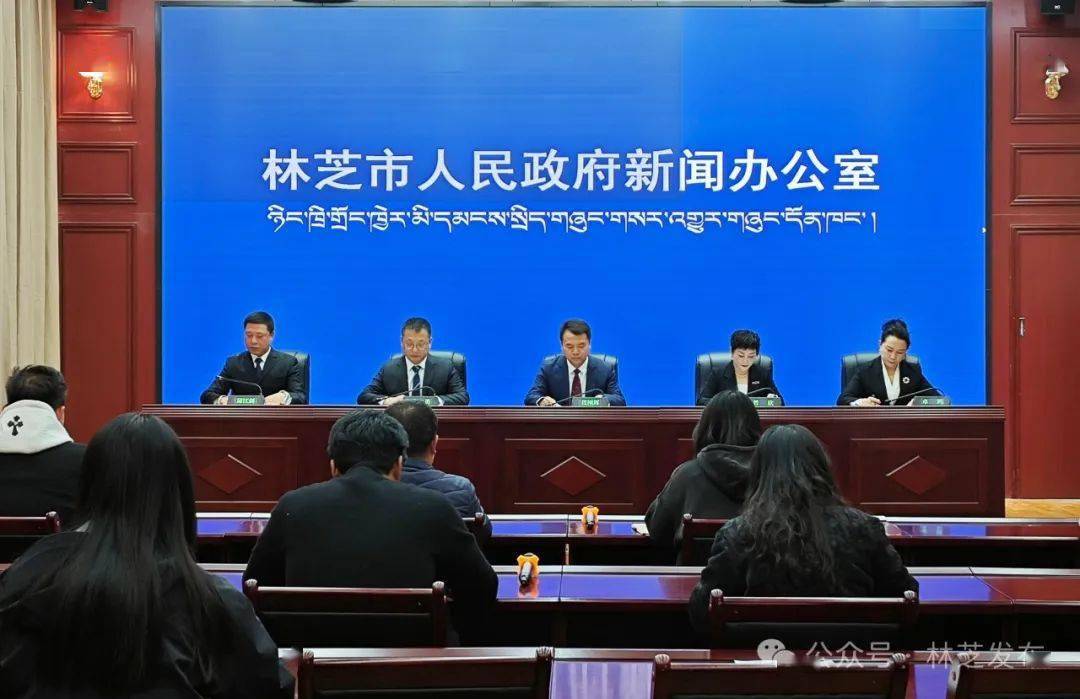林芝最新新闻报道