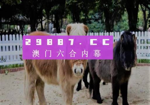 2024澳门买马最准网站,多元化诊断解决_CHZ23.713拍照版