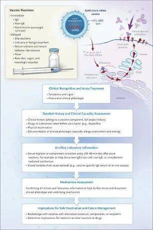 澳门金六彩资料官网,多元化诊断解决_WQN23.329安全版