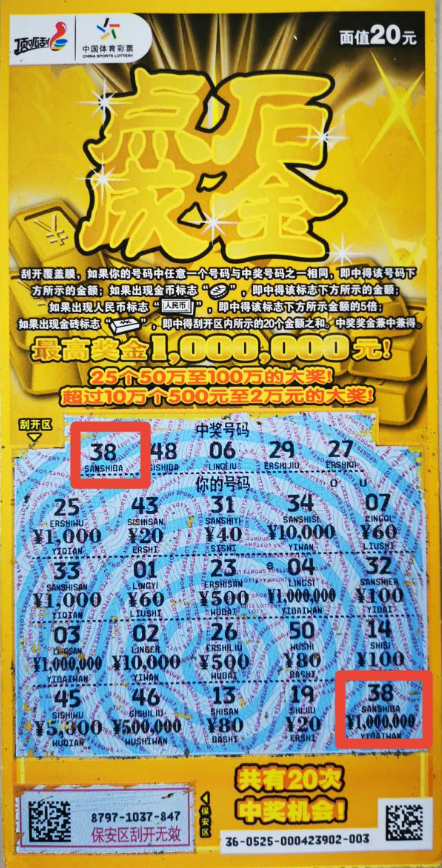 2024澳门天天开好彩大全69,精细化实施分析_NIJ23.498亲和版