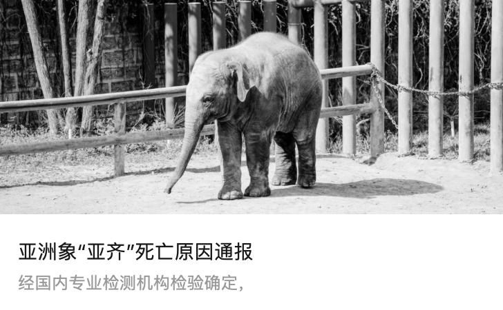 澳门开奖结果+开奖记录2023年,数据化决策分析_BVH23.297移动版