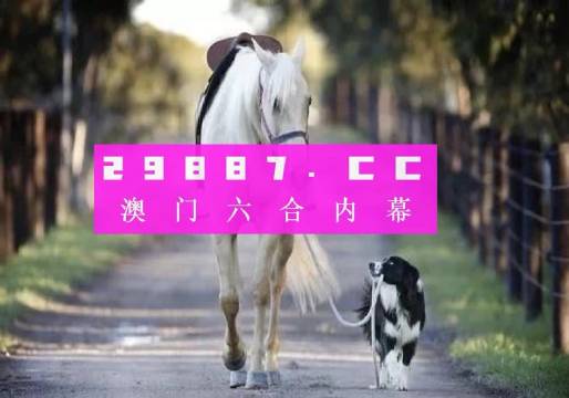 龙门客栈澳门资料49图库,实时分析处理_ICM23.877定向版