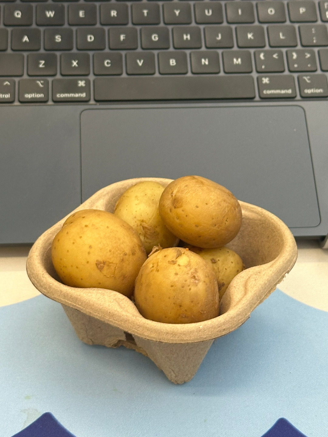 土豆与乳制品的奇妙结合,最新土豆吃奶专辑探索报道