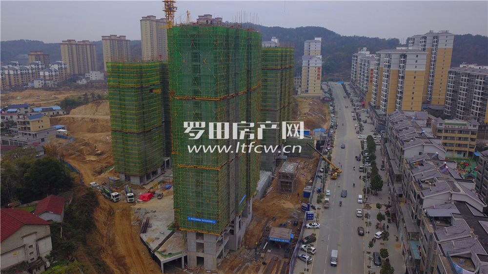 罗田最新房价揭秘，洞悉市场动态，掌握房价走势！