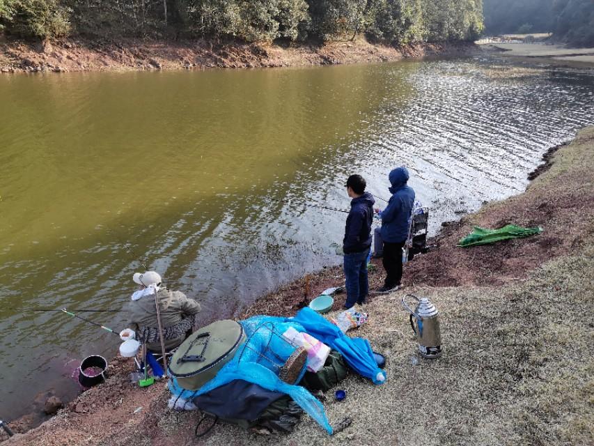 最新水库钓鱼视频，探索钓鱼乐趣与技巧全攻略