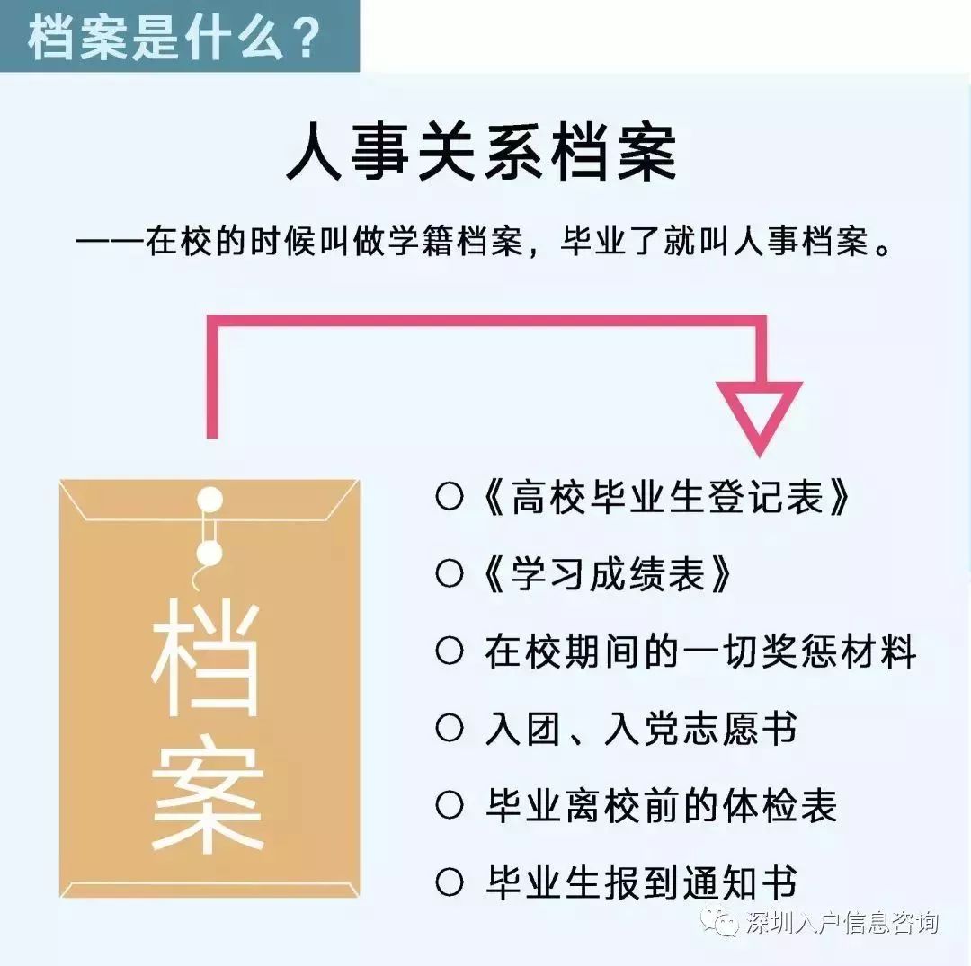 档案人员补贴最新观点论述，探讨补贴政策与档案人员发展的关系