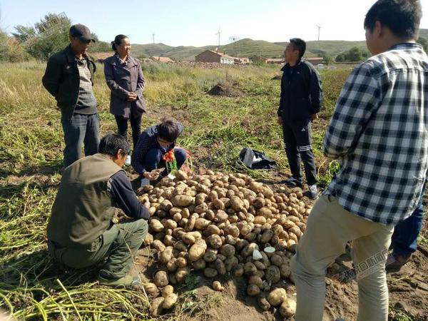 沽源最新新闻报道