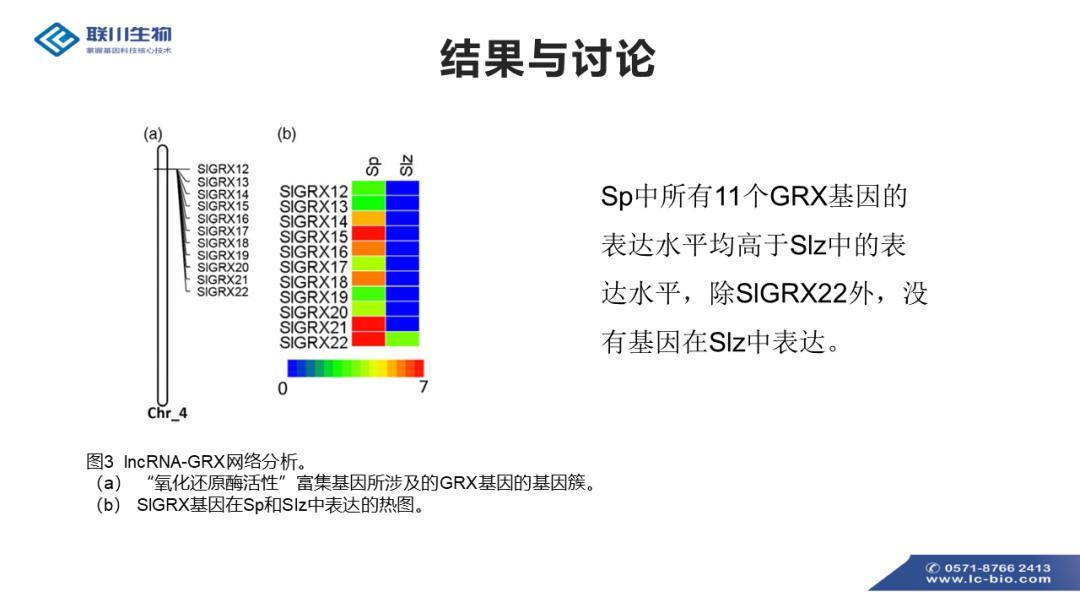 24年全年資料免費大全優勢,标准执行具体评价_MIE27.794娱乐版