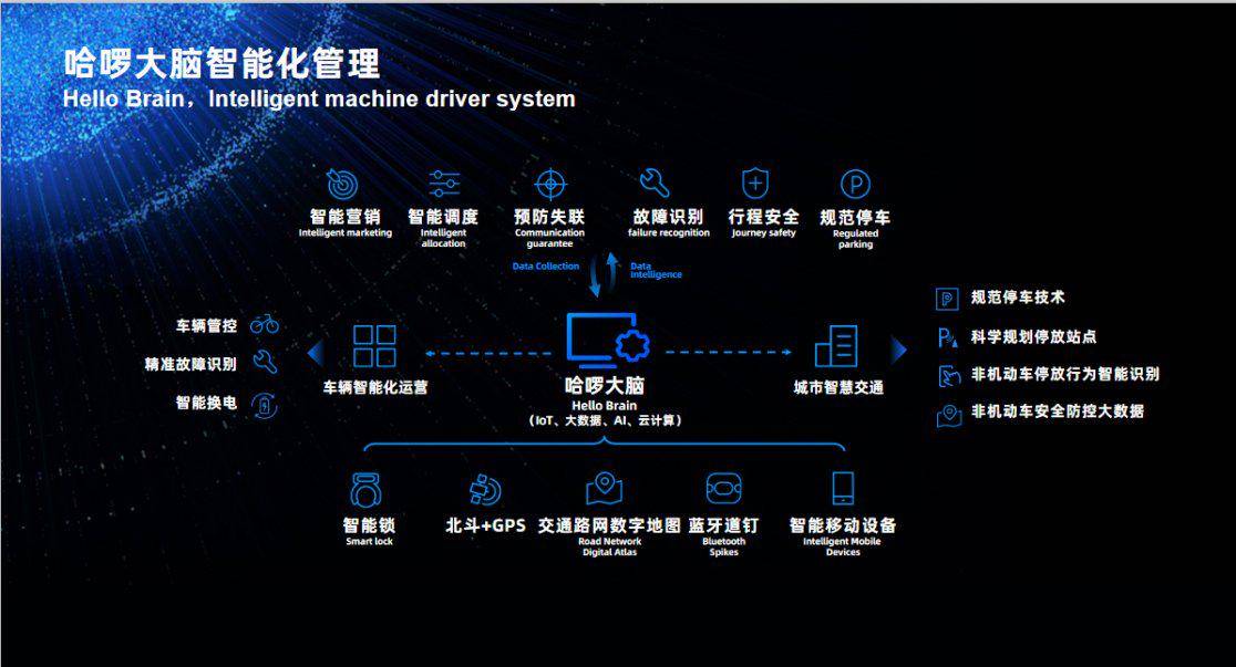 四肖八码期期准资料免费长期公开讲结果W082020CαK,数据化决策分析_XSE27.566计算能力版