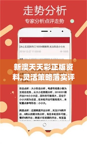 新澳天天彩正版免费资料,深究数据应用策略_VBS27.591服务器版