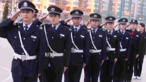 宁国最新保安招聘及其探讨，行业现状与发展趋势分析