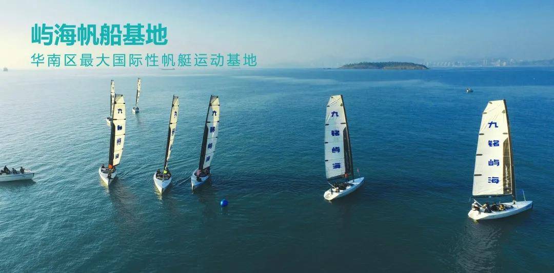海洋新闻热点，小巷深处的海洋味道与特色小店的奇遇