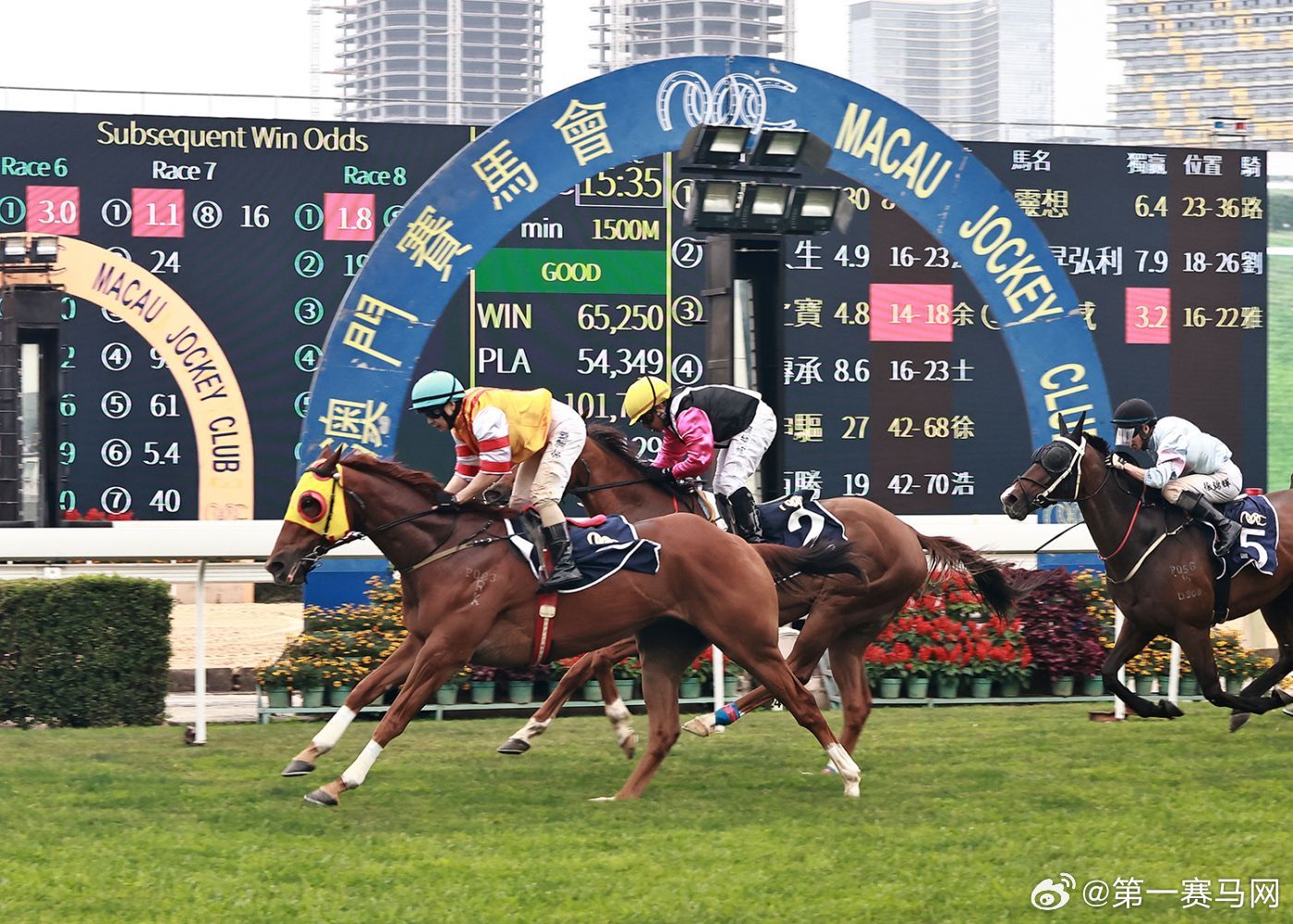 香港晚上开什么特马,深入挖掘解释说明_UMW10.435套件版