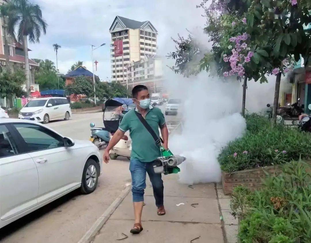 景洪登革热最新疫情动态，挑战与自信之光的博弈