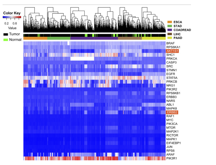 …2024新澳资料免费精准109,澳…,信息明晰解析导向_NSZ10.241生态版