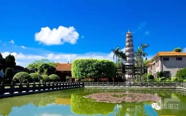 雷州最新楼盘概览，市场现状与前景展望