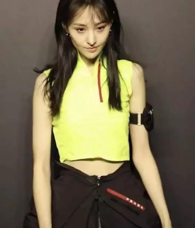 郑爽最新动态2024，多维度审视与深度探讨