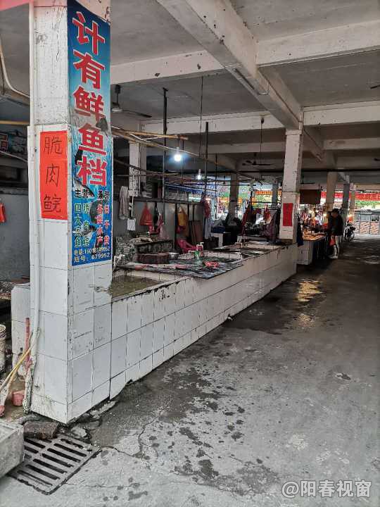 最新鱼档转让，把握商机，轻松开启水产养殖事业之路