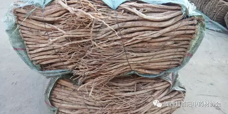 渭源党参干货最新价格及获取指南，了解党参干货价格走势与行情分析